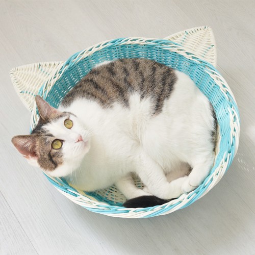 Rattan Cat Litter Box Cat Bed with Rattan Cat House Pet Supplies