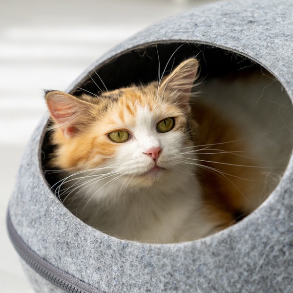 Cat Space Felt Nest Detachable and Washable Eggshell Cat Kennel Semi-Enclosed Cat House