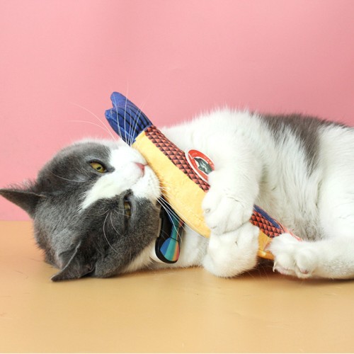 Cat Toys Bite Resistant Catnip Ocean Fish Molar Pet Toys