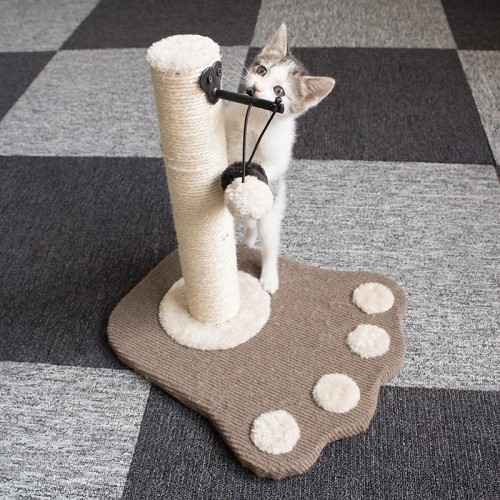 Cat Scratching Board and Posts Cat Toy Cat Bed Cat Climbing Frame Pet Supplies