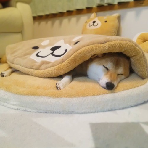 Four Seasons General Dorayaki Shiba Inu Dog Kennel Bed Dog Sleeping Mat Comfortable Pet Nest Bed