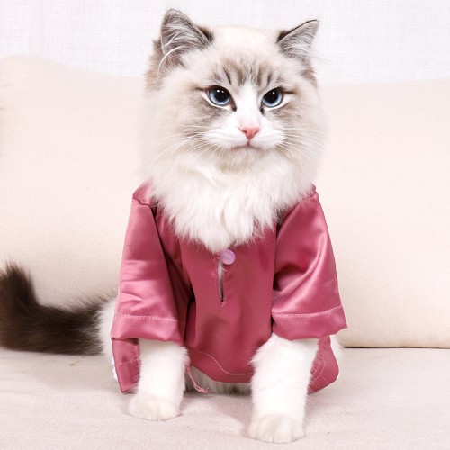 Pet Clothes Cat Summer Anti-hair Loss Clothes Non-Stick Hair Dog Fashion Clothes