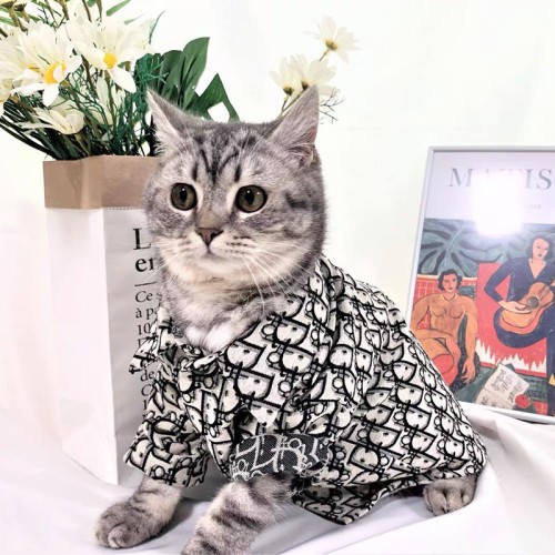 Dog and Cat Clothes Puppy Autumn and Winter Shirt Clothing Fashion Pet Clothes