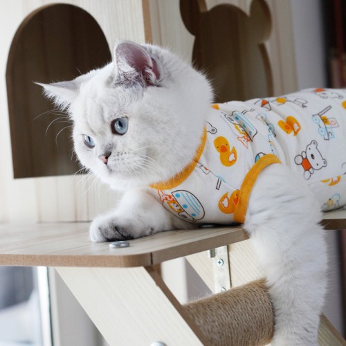 Cat Thin Clothes Sleeveless Shirt Cartoon Vest Pet Clothes