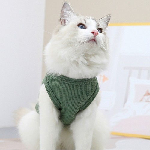 Fashion Cat Clothes Dog T-Shirt Pet Clothing Casual for Spring Summer