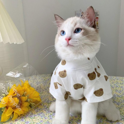 Cat Thin Clothes Anti-Hair Loss T-Shirt Dog Clothing Cute Pet Clothes For Spring Summer