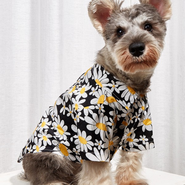 Dog Shirt Teddy Bomei Law Fighting Cat Summer Thin Section Small Dog Pet Spring and Autumn