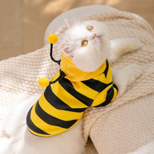 Cute Bee Clothing Spring Clothes for Small Dog or Cat