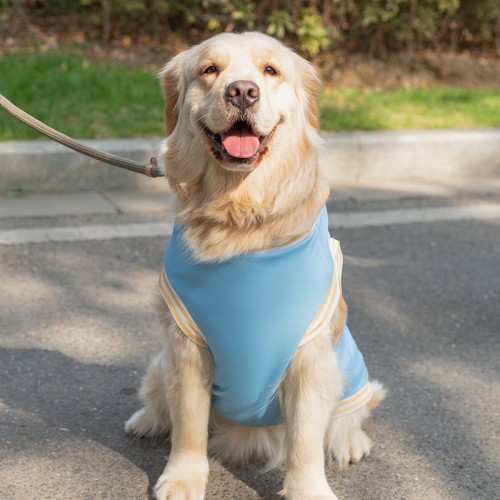 Big Dog Clothes Thin Summer Clothes Golden Retriever Medium And Large Dog Pet Clothing