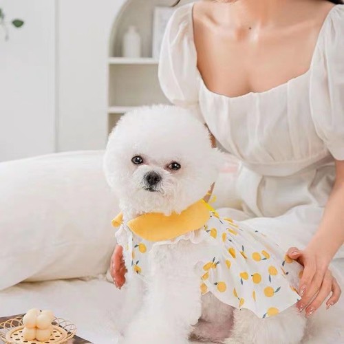 Dress Cats and Dogs Thin Summer Teddy Small Dog Pomeranian Clothes Style Summer Princess Dress