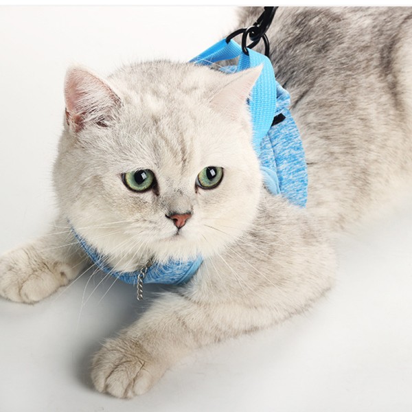 Cat Harness Cat Pull Rope Bolt Cat Slip Cat Rope Cat Chest Strap Cat Traction Rope