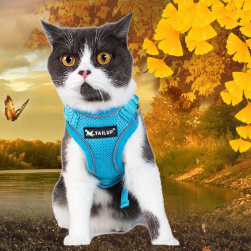 Escape Proof Soft Adjustable Vest Harnesses for Cats Easy Control Breathable Strips Jacket