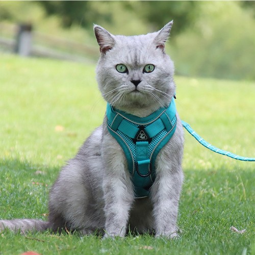 Cat Harness and Leash Set for Walking Escape Proof Kitten Harness Super Soft Adjustable Breathable Cat Vest Harnesses