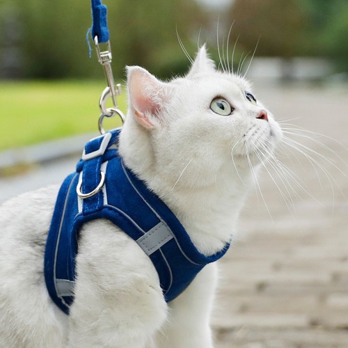 Pet Leash Undershirt Type Cat Universal Chest Strap Dog Chain Dog Supplies Walking Cat Walking Dog Rope Soft and Comfortable