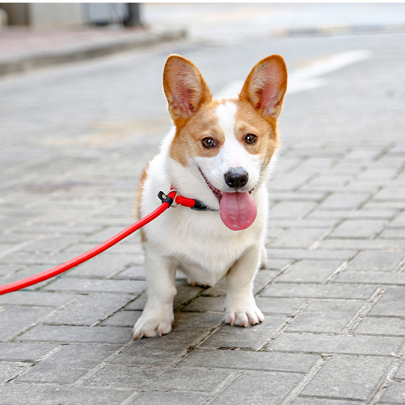 Rolled Round Braided Rope Training Dog Slip Collar